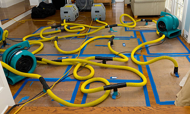Professional Crawl Space Water Removal technician working in Zoar, OH